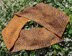 Greek Keys Scarf