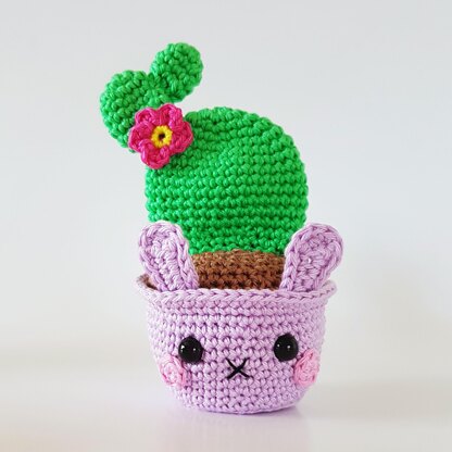 Cactus Bunnies