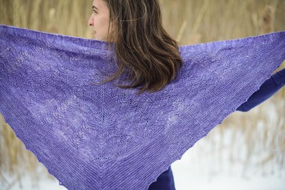 Inglenook Shawl