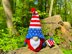 USA Patriotic American Gnome_boy
