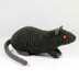 Fancy rats