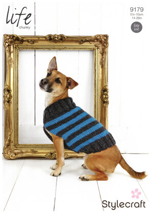 Striped Dog Coat in Stylecraft Life Chunky - 9179