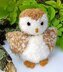 Baby Barn Owl - Chocolate Orange Cover