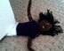 Knit a Git - Voodoo doll