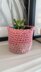 Easy Crochet Plant Pot/ Basket