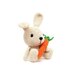 BUNNY with Carrot