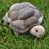 Tortoise