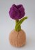 Tulip Chocolate Orange Cosy