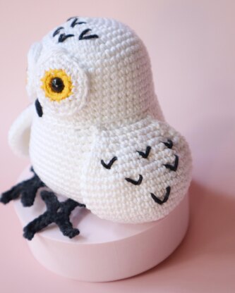 Yuki the Snowy Owl