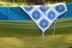 Blue Meadow Crochet Bandana PDF Pattern
