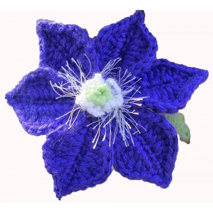 Collection of Clematis flower crochet