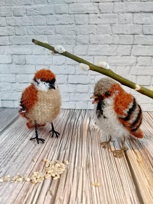 Realistic Passer Montaus, Passeridae bird, Sparrow Amigurumi