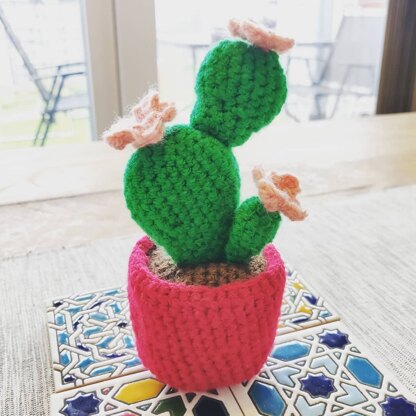 Crocheted Cactus