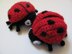 Amigurumi Ladybug