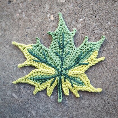 Maple Leaf