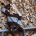 Rowan Essential Sweaters