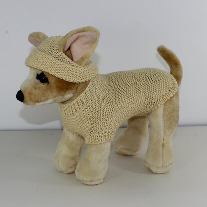 Small Dog 4 Ply Coat & Beanie Hat