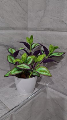 Crochet Tradescantia Zebrina plant