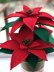 Crochet Poinsettia Pattern