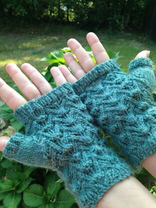 Reptile mitts