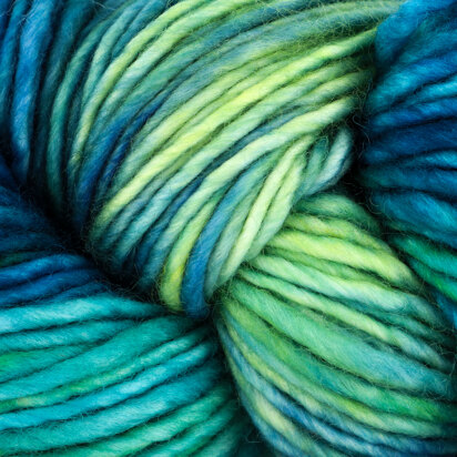 Dream in Color Jilly Yarn at WEBS