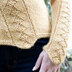 Plymouth Yarn 2921 Women's Pullover in Baby Alpaca Grande PDF