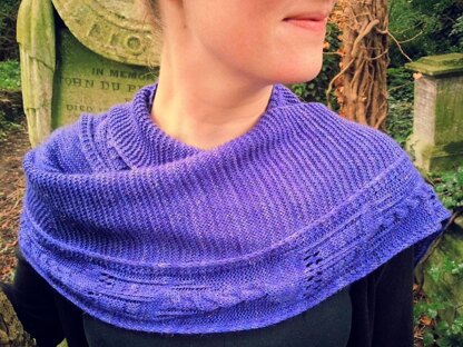 T.A.R.D.I.Shawl