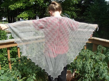 Lotus Pod Shawl