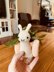 Snail Plant Holder