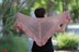 Whispering Blossom Shawl