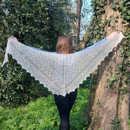 Mystery forest shawl