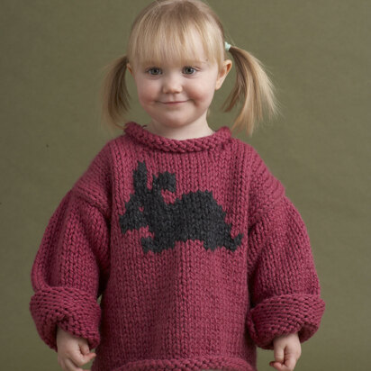 Raglan Sleeve Pullover in Lion Brand Wool-Ease Thick & Quick - 1201, Knitting Patterns