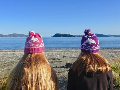 2 Dolphin Hats