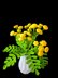 Crochet Tansy flowers