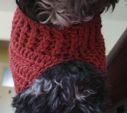 Crochet Pattern for the easy dog coat!