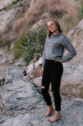 Silver Dollar Cropped Sweater