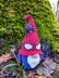 Gnome spider