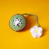 Kiwi Daisy Car Hanging