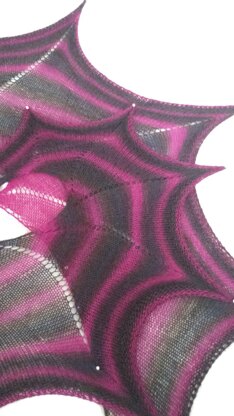 Nautilus Shawl