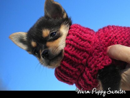 Warm Puppy Sweater