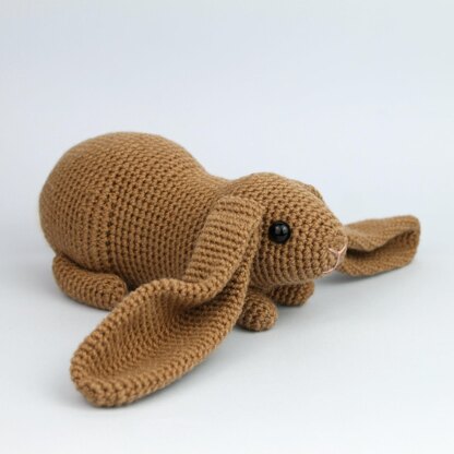 English lop rabbit