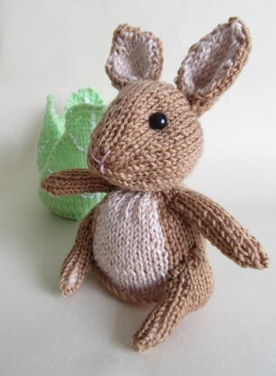 Rabbit in the Lettuce Chocolate Orange Cover Easter