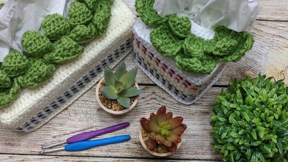 Succulent Tissue Cover