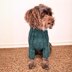 Cozy Canine Rib-Knit