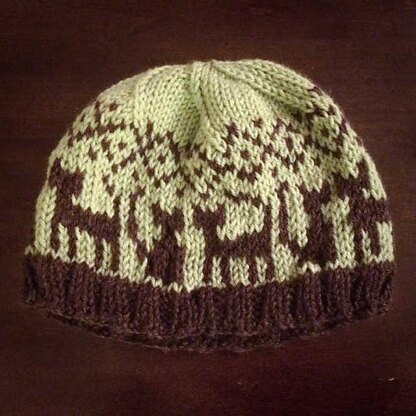 Cat Earflap/beanie Patterned Knit Hat