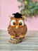 Plush graduation owl amigurumi