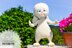 Snowball bunny rabbit toy