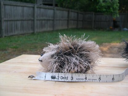 Small and Mini Hedgehogs