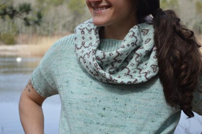 Spring Hopes Cowl