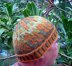 Autumn Leaves Hat